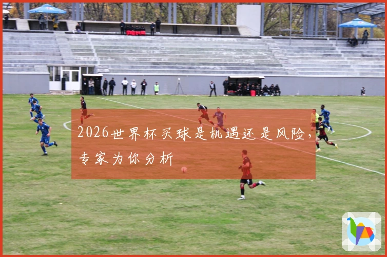 2026世界杯买球是机遇还是风险，专家为你分析