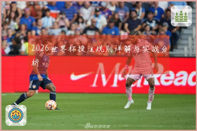 2026世界杯投注规则详解与实战分析
