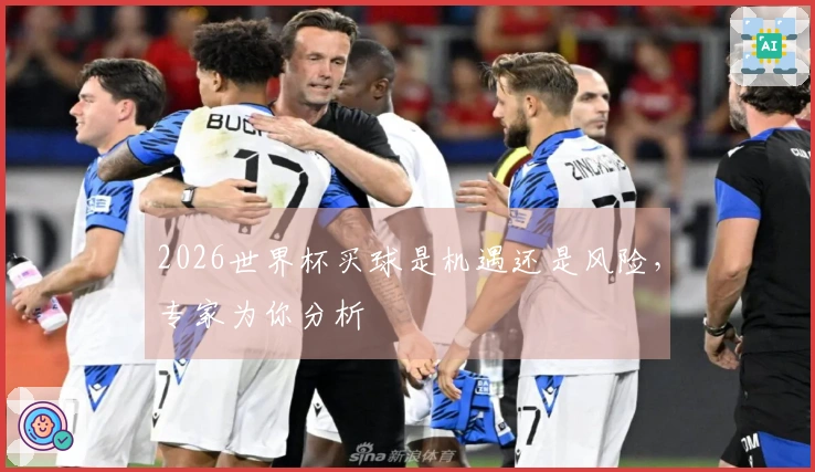 2026世界杯买球是机遇还是风险，专家为你分析