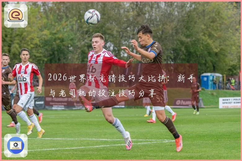 2026世界杯竞猜技巧大比拼：新手与老司机的投注技巧分享