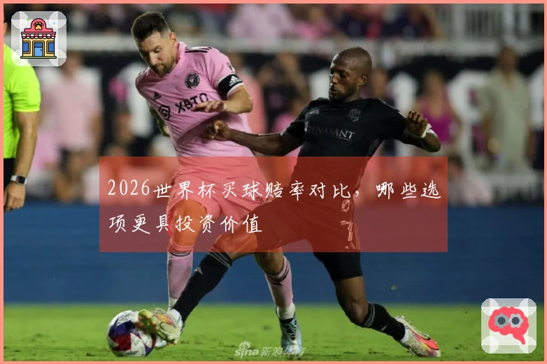 2026世界杯买球赔率对比，哪些选项更具投资价值