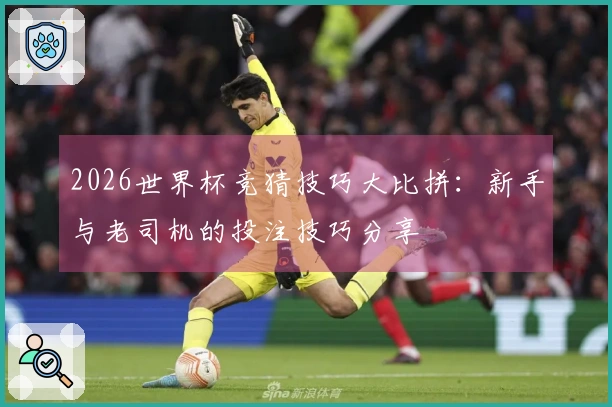 2026世界杯竞猜技巧大比拼：新手与老司机的投注技巧分享