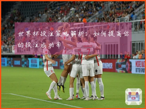 世界杯投注策略解析：如何提高你的投注成功率