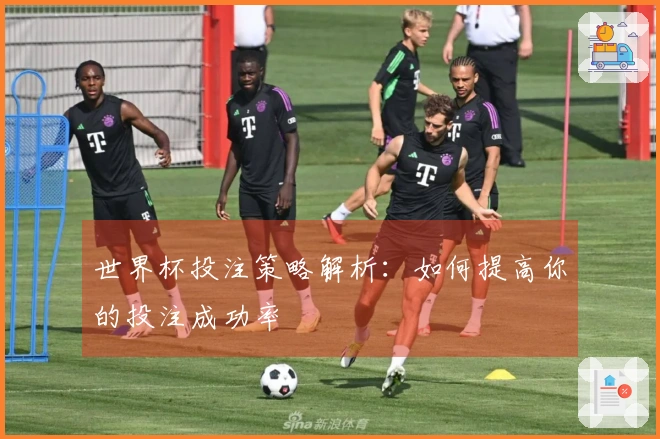 世界杯投注策略解析：如何提高你的投注成功率